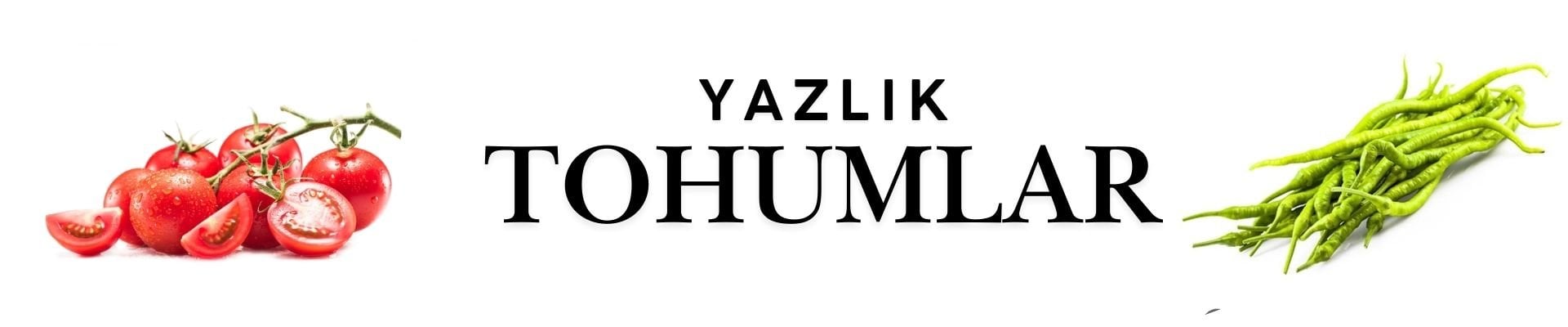 Yazlık tohumlar
