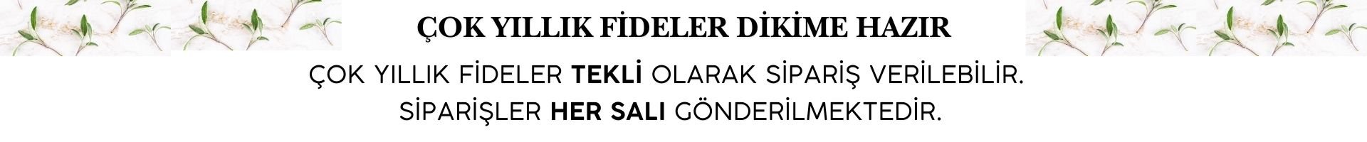çok yıllık fide bilgi banner