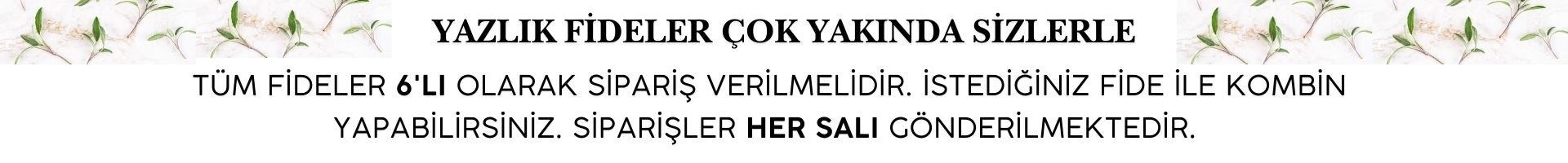 Yazlık fide banner