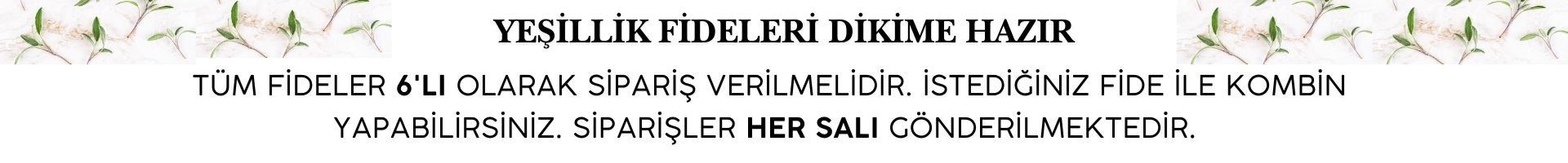 yeşillik fide bilgi banner