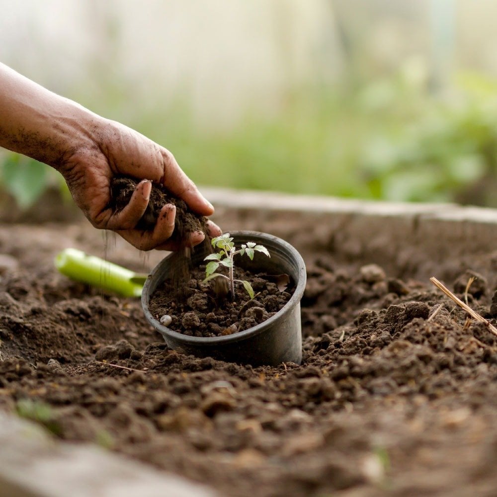 EkosolFarm solucan gübresi katı ve sıvı form