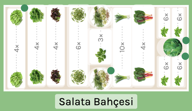 Salata Bahçesi Dikim Planı — hangi fide nereye dikileceğini gösteren yerleşim şeması