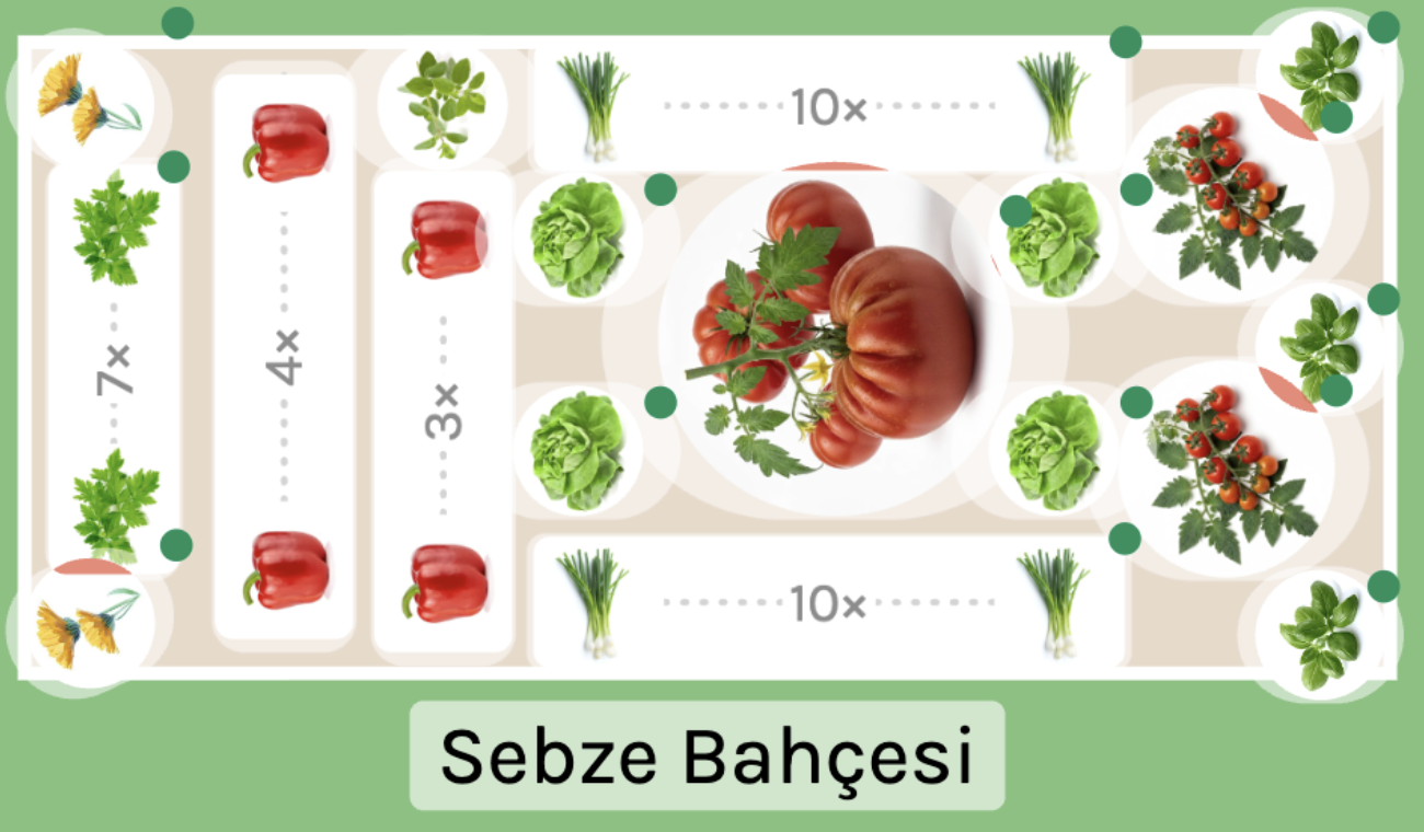Sebze Bahçesi Dikim Planı – hangi fide nereye dikilecejğini gösteren yerleşim şeması