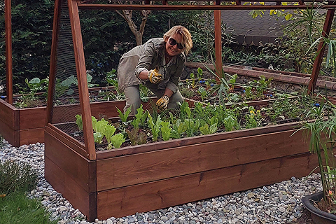 Kendi Bitki Bahçenizi Evde Nasıl Kurabilirsiniz?