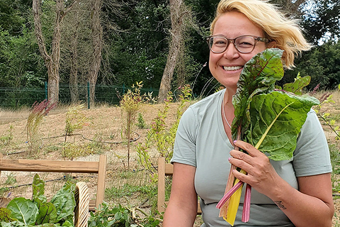 Organik Tohumlarla Başlayan Sağlıklı Bahçecilik