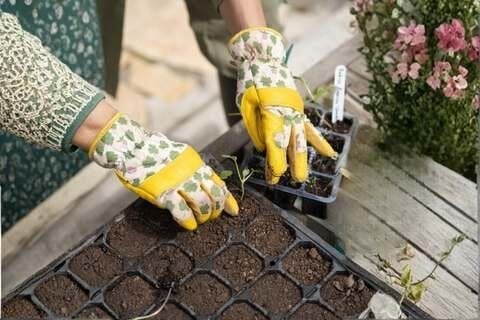 Mart ayı baharın geldiğini müjdeliyor. Neler yapabiliriz?