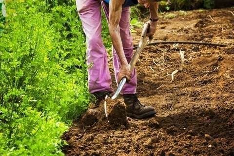 Mart Ayında Bahçeleri Hazırlıyoruz!