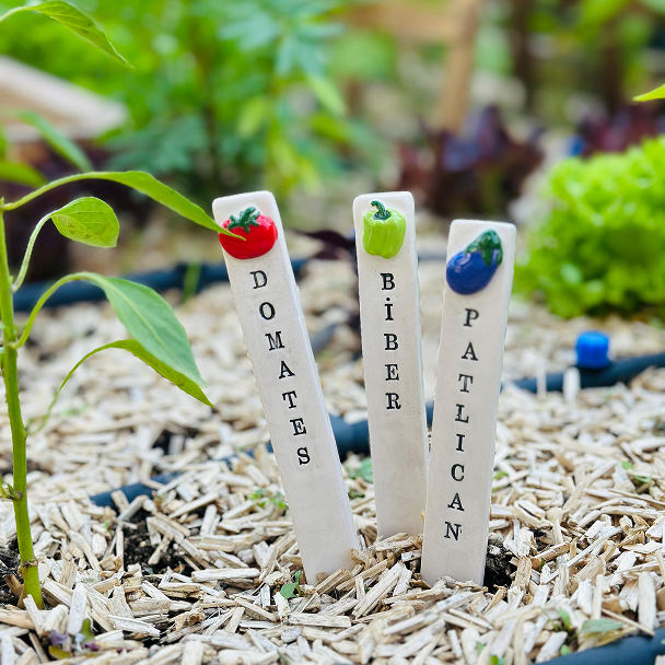 4 Bölmeli Tohum Çimlendirme Tepsisitest