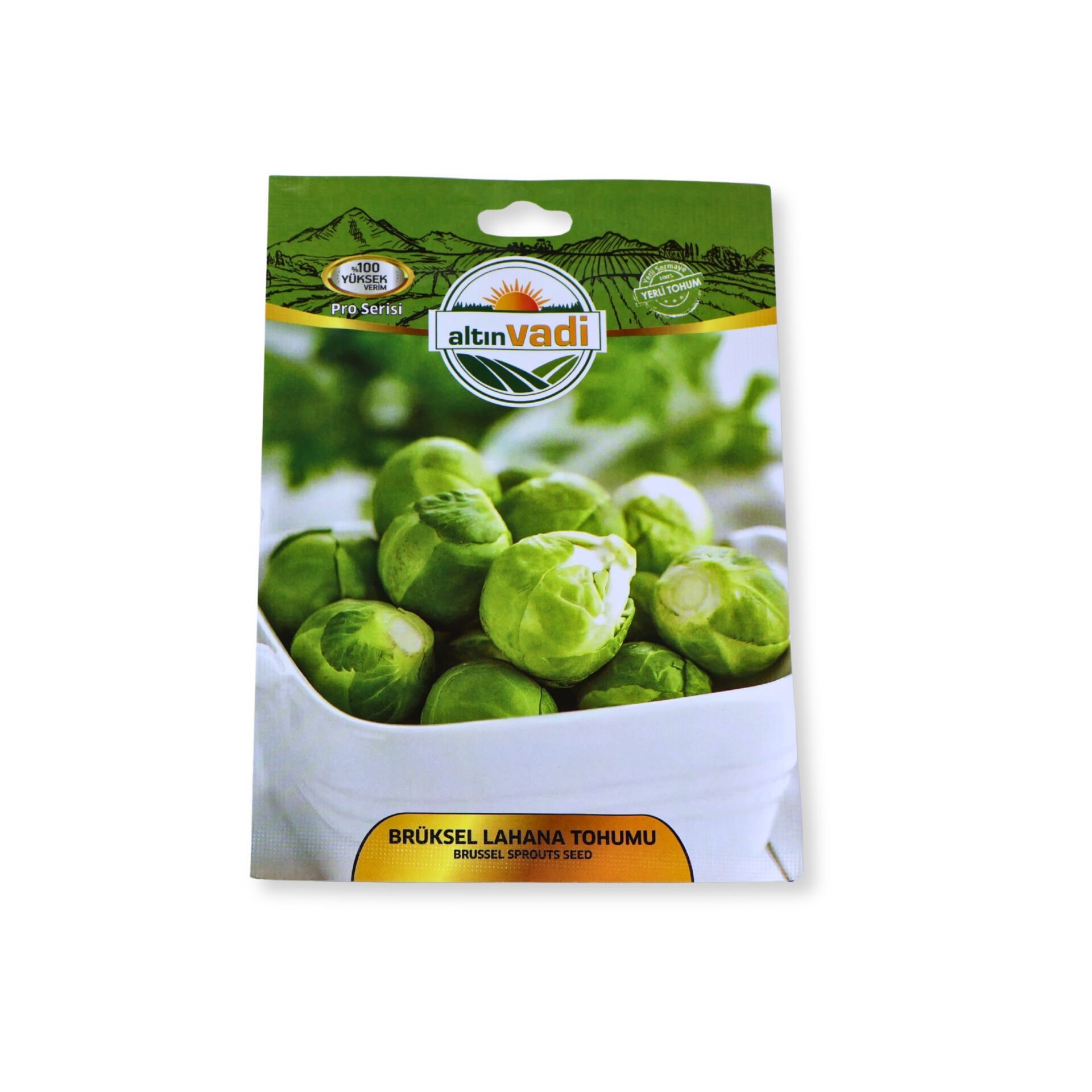 Brüksel lahanası fidesi