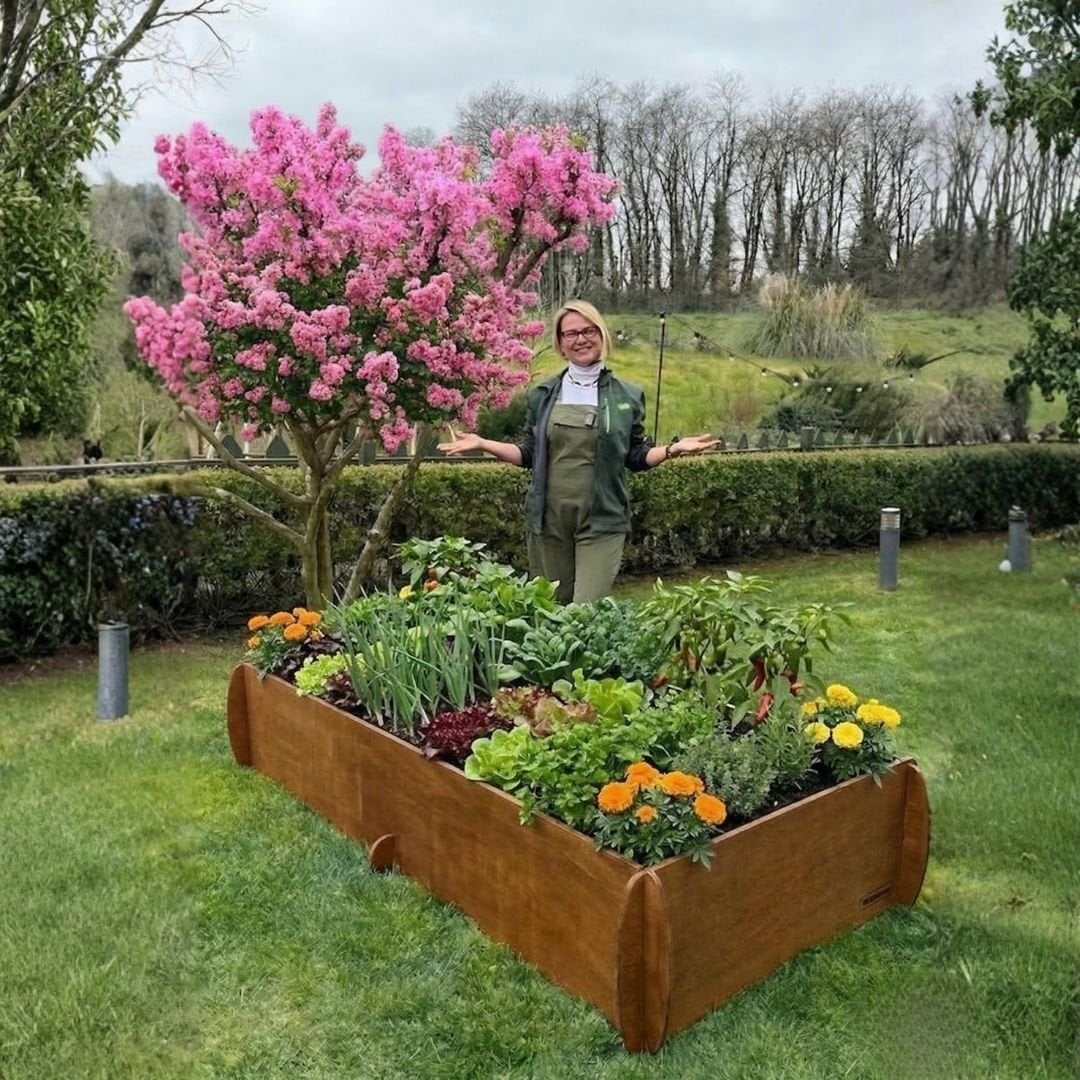 Yüksek bitki yetiştirme yatağı