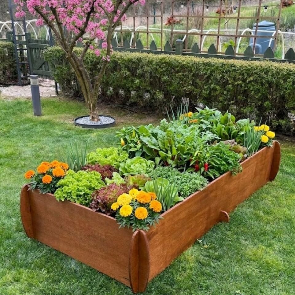 Yüksek bitki yetiştirme yatağı