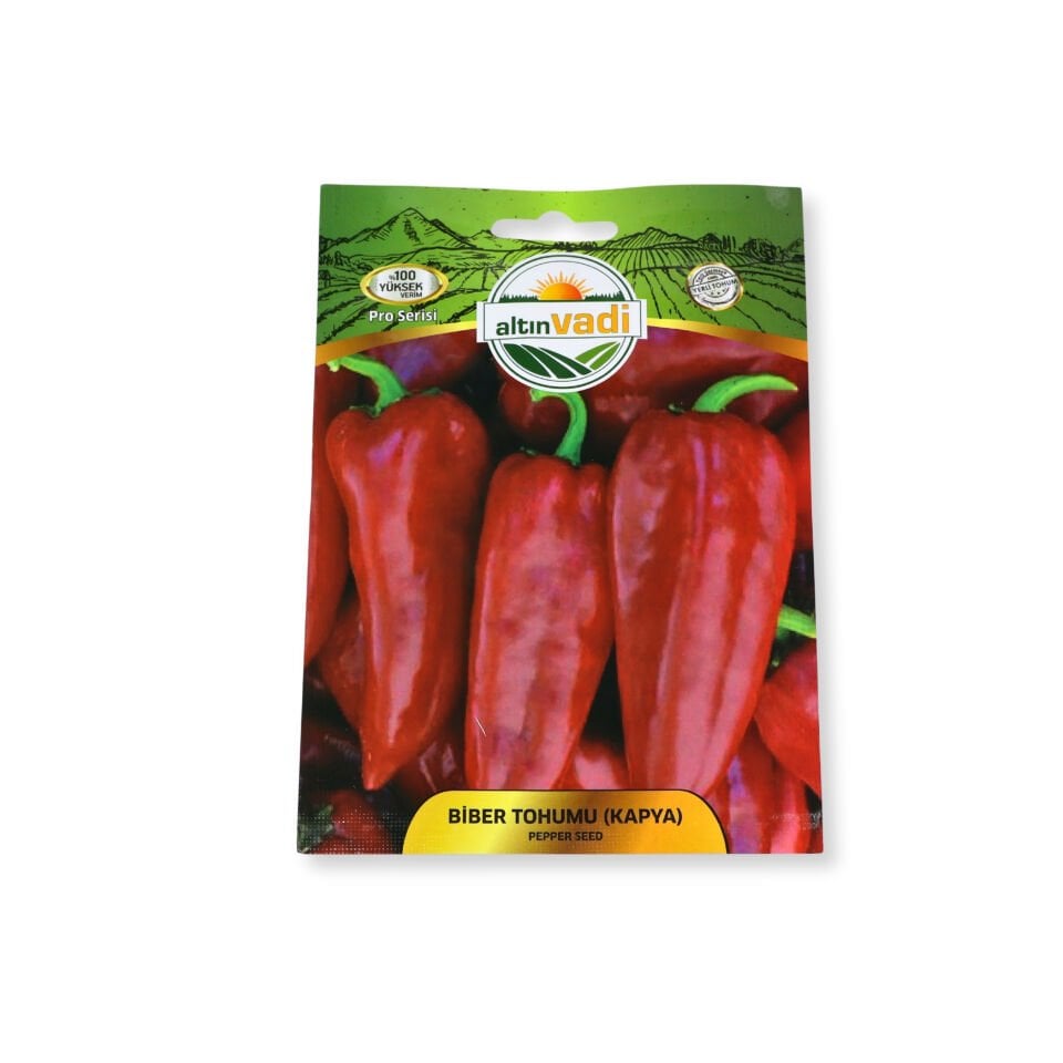 Biber tohumu (kapya) - 600 adet