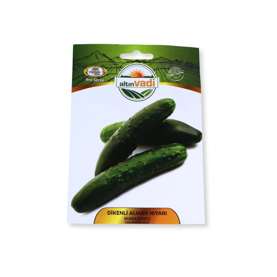 Dikenli Alman salatalık (Karadeniz) tohumu - 100 adet