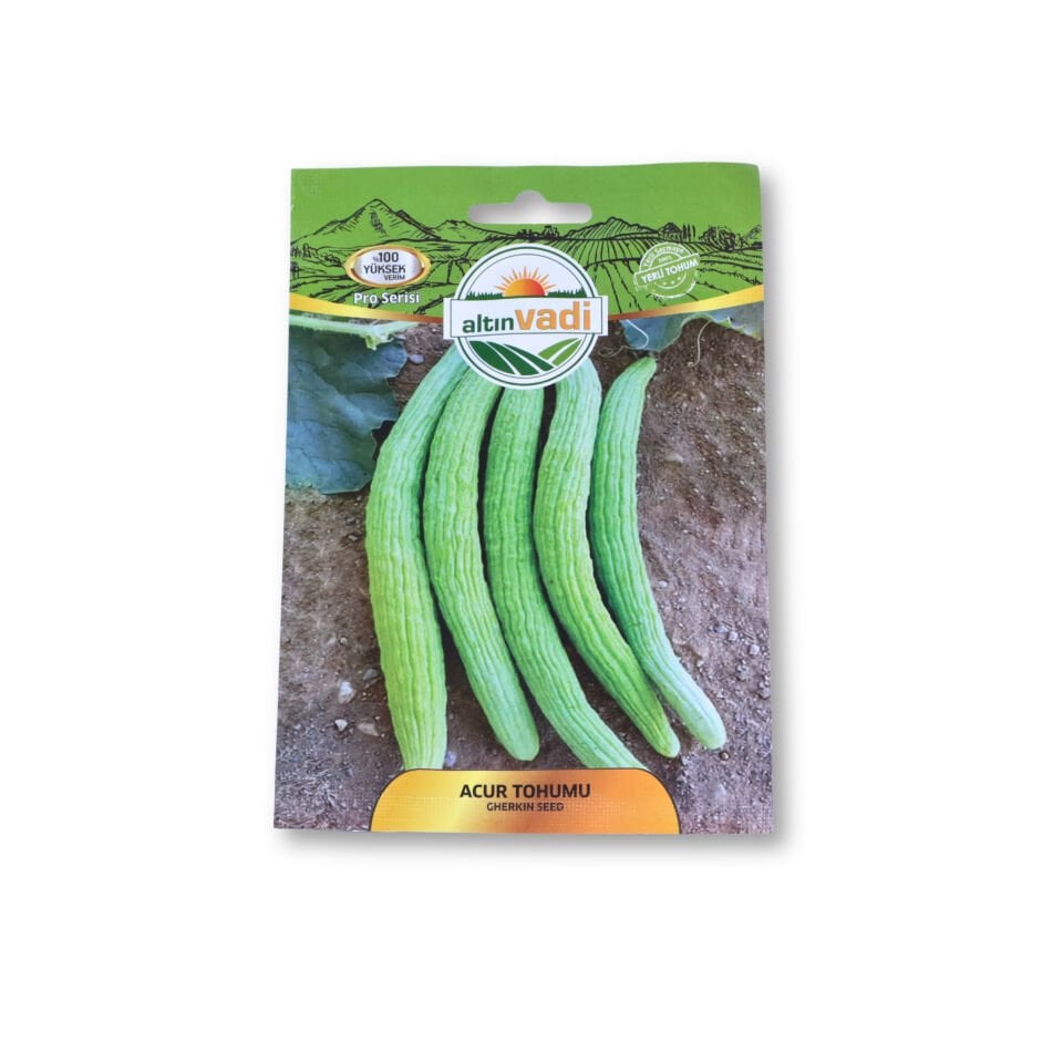 Acur tohumu - 100 adet