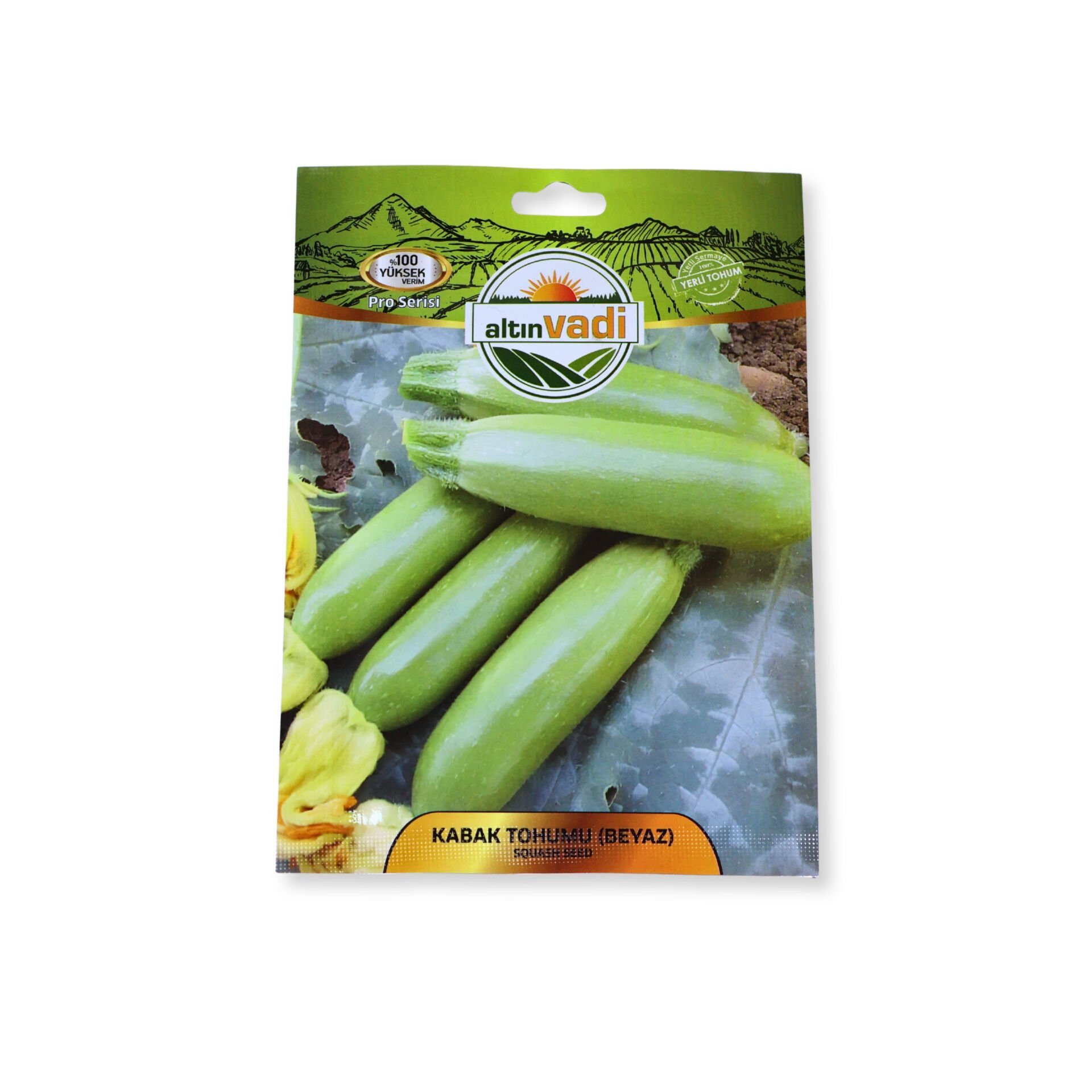 Kabak tohumu (beyaz)