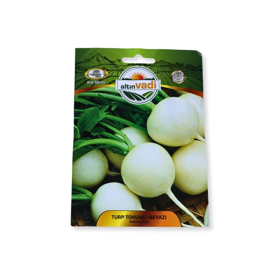 Turp tohumu (beyaz) - net 10 gr