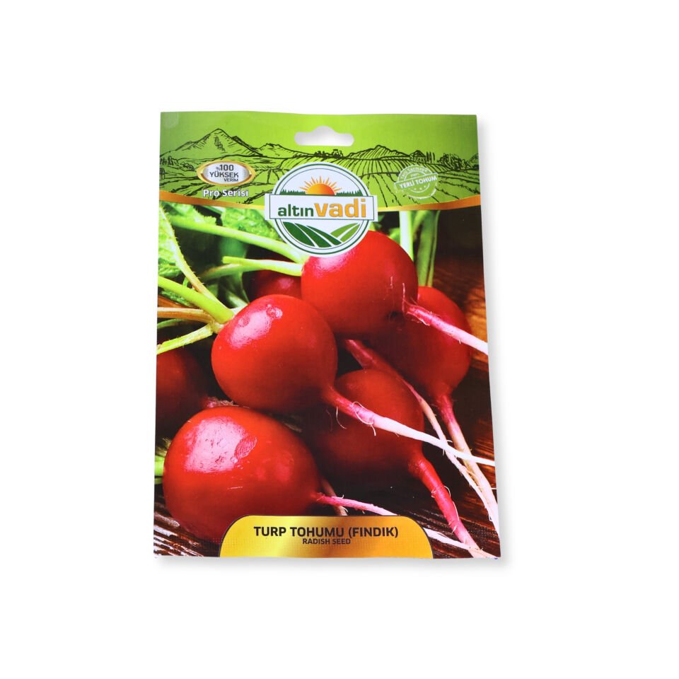 Turp tohumu (fındık) - 500 adet