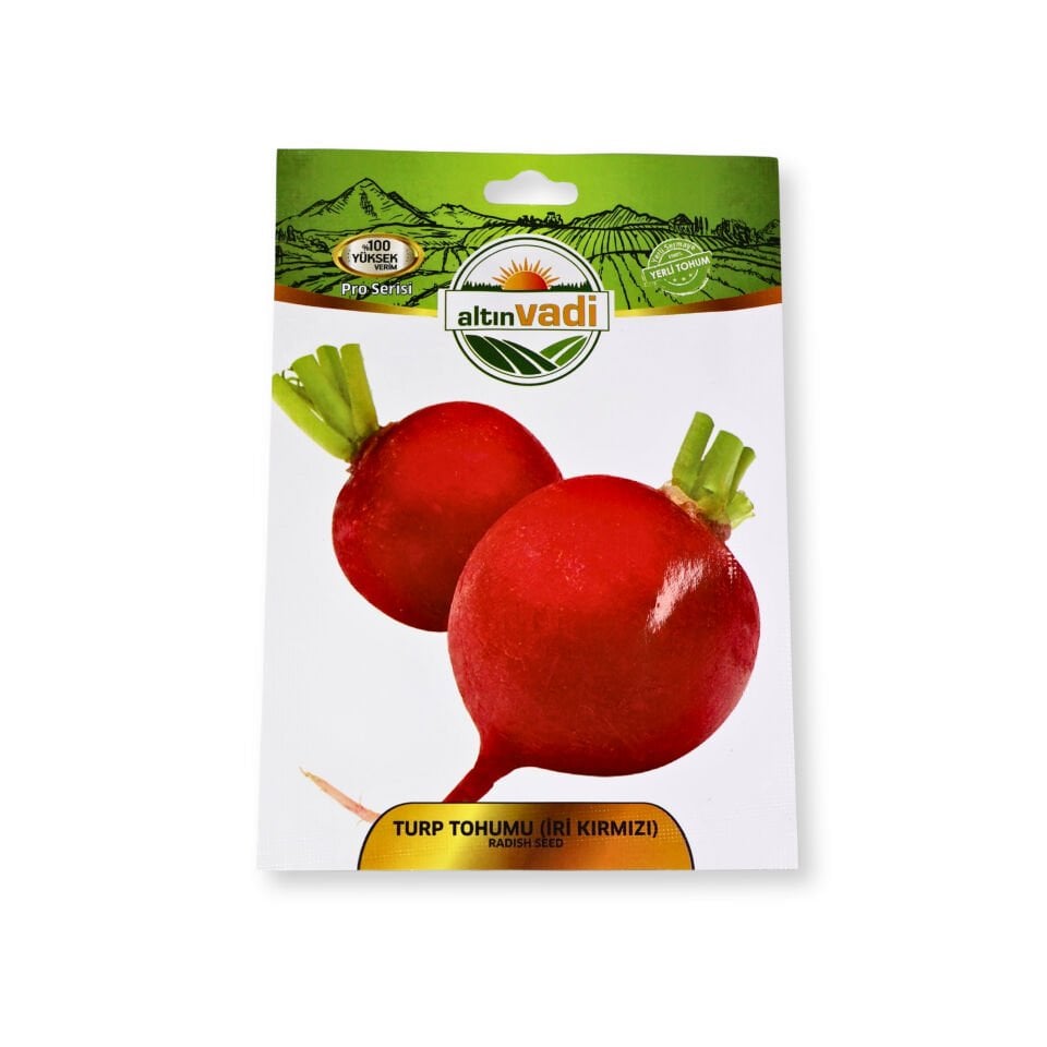 Turp tohumu (iri kırmızı) - 1000 adet