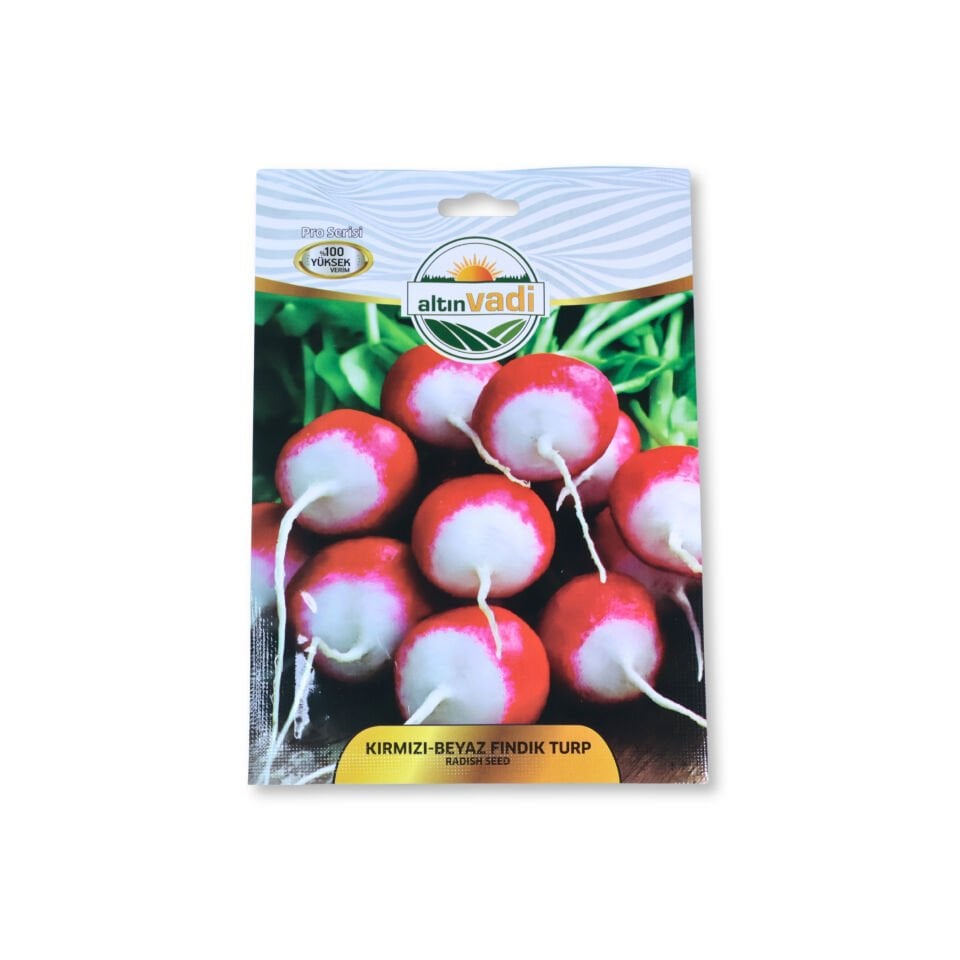 Kırmızı beyaz fındık turp - 300 adet