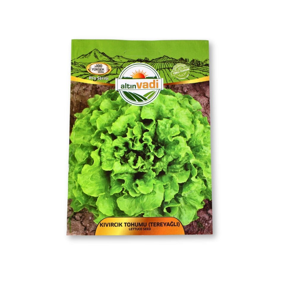 Marul tohumu (tereyağlı) - 3500 adet