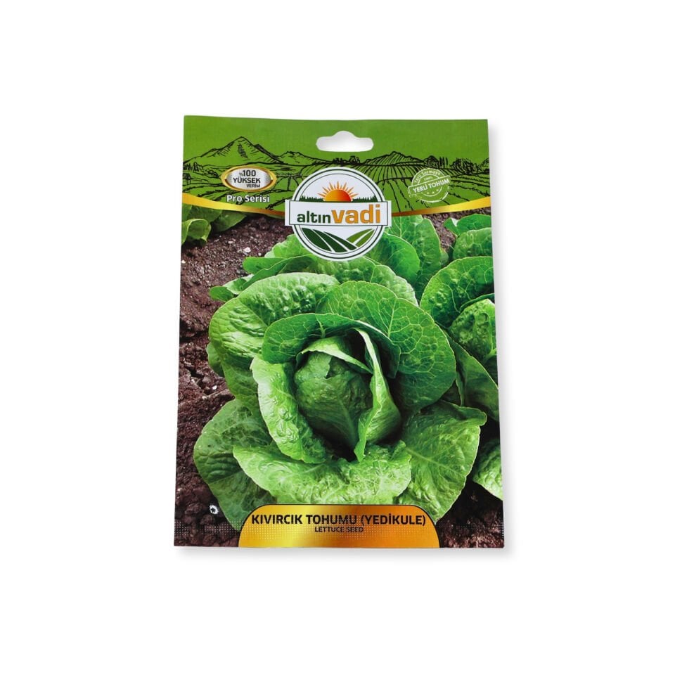 Marul tohumu (Yedikule)