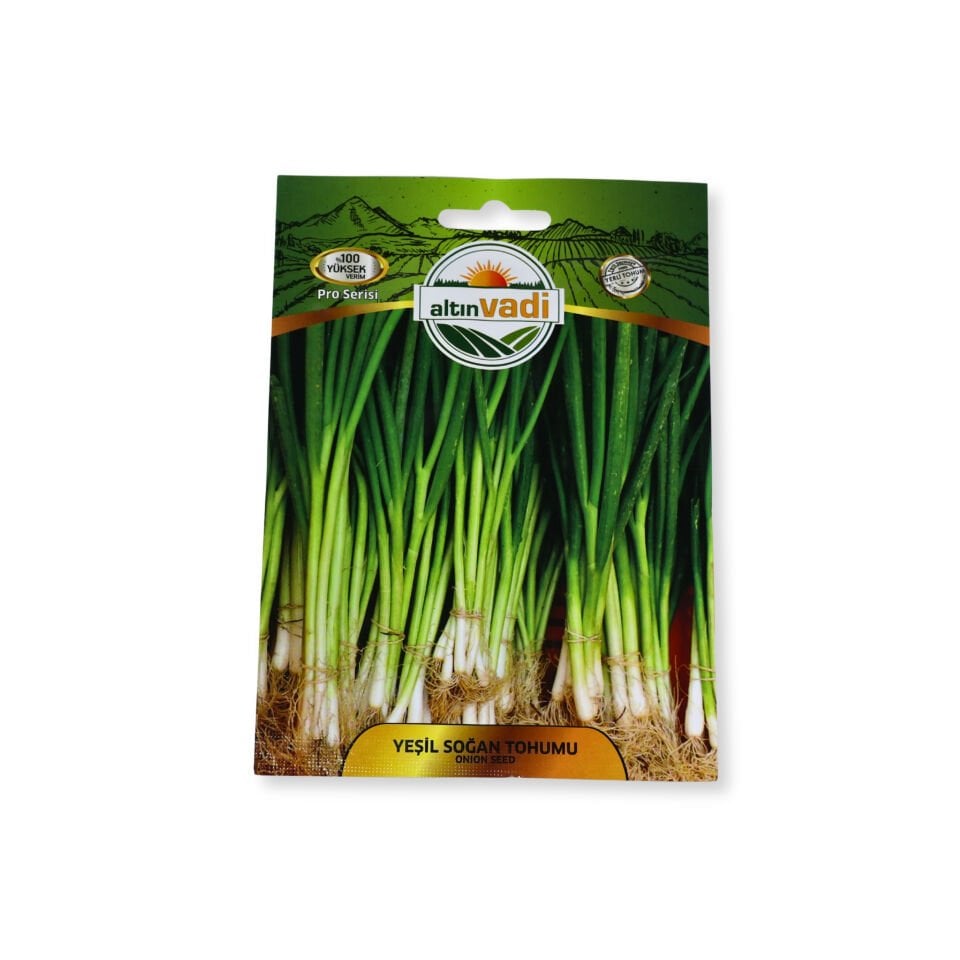 Yeşil soğan tohumu - 1250 adet