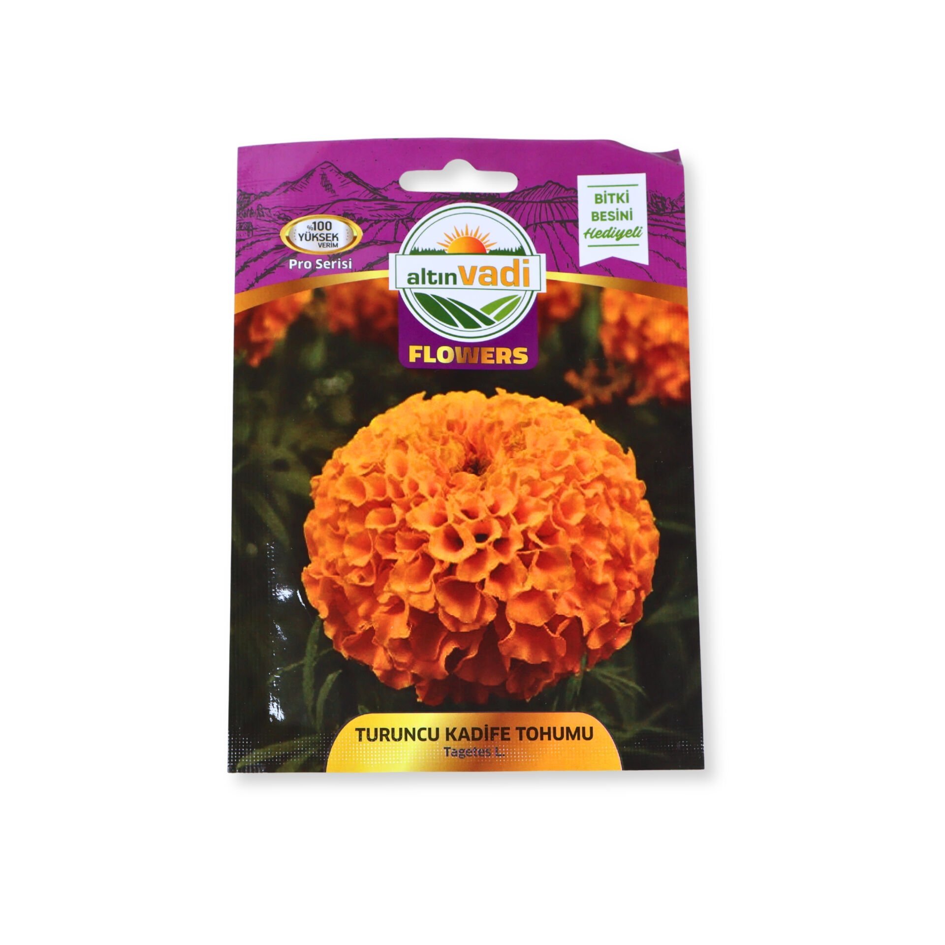Turuncu kadife tohumu