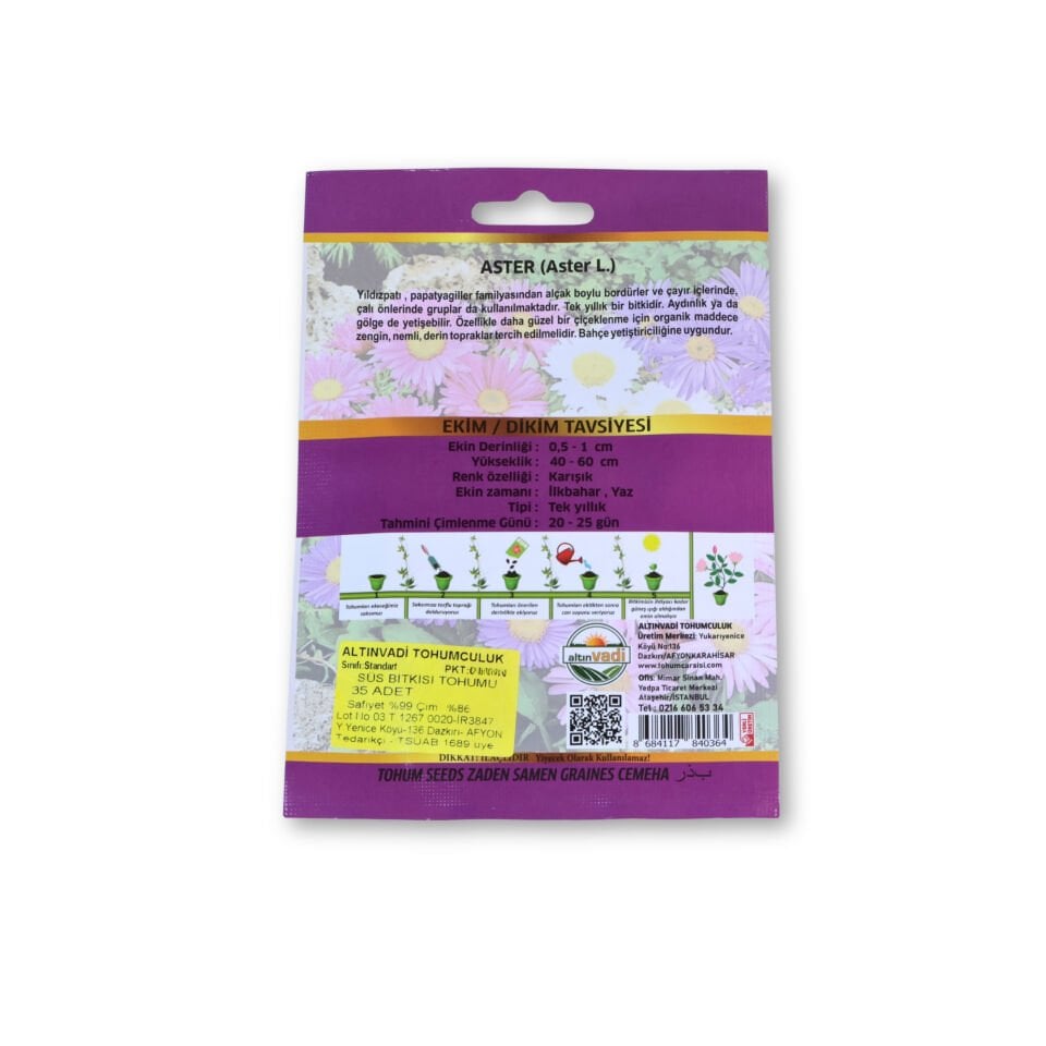 Aster tohumu (Aster L.) - 35 adet