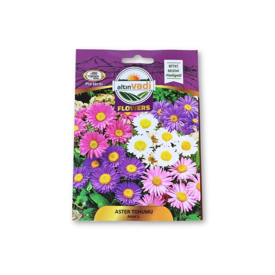 Aster tohumu (Aster L.) - 35 adet