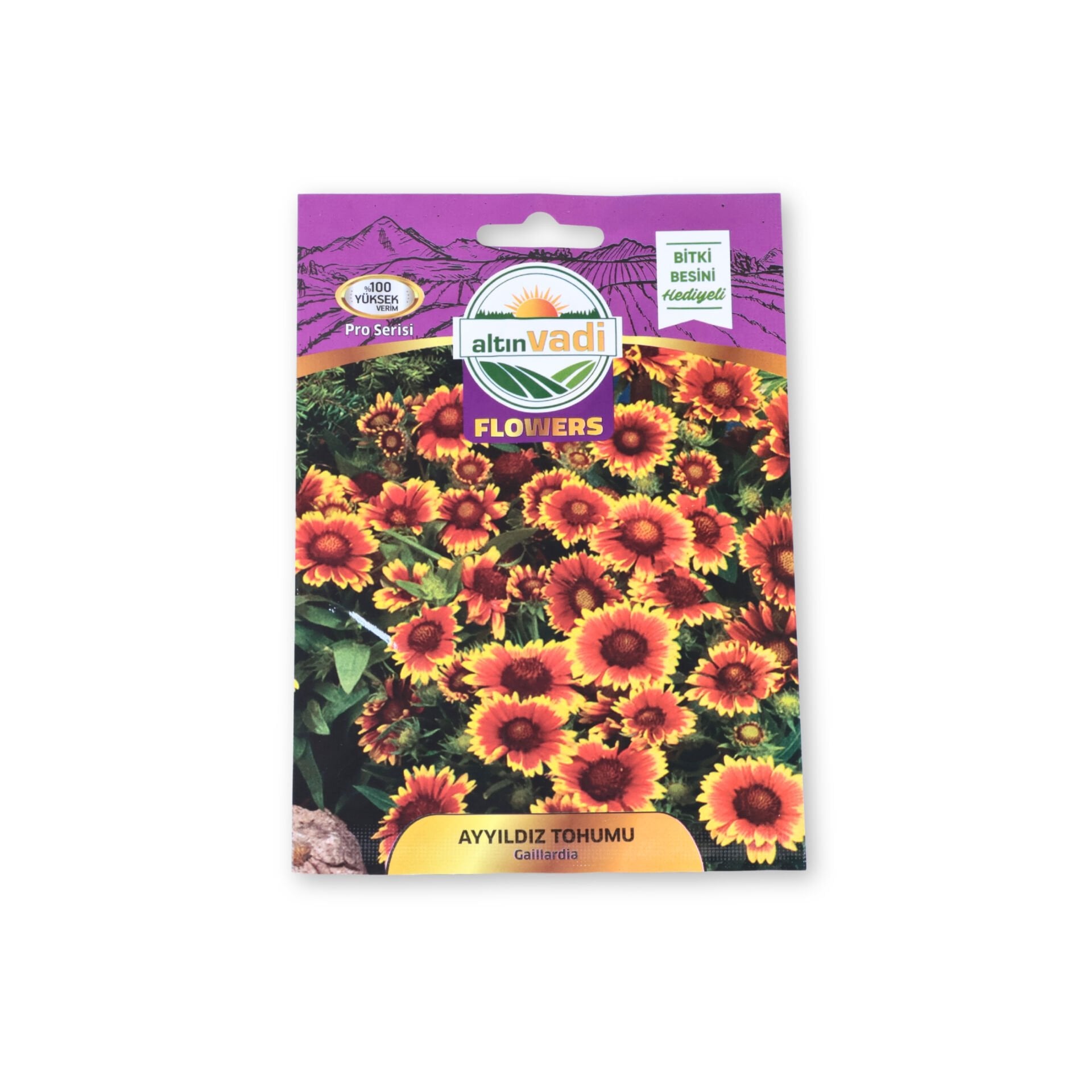 Ayyıldız tohumu (Gaillardia) - 35 adet