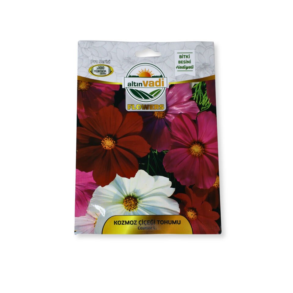 Kozmos çiçeği tohumu