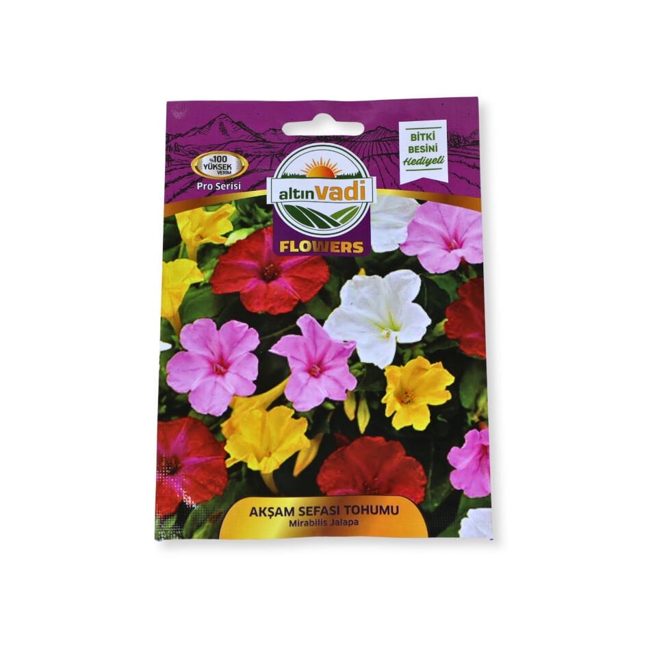 Akşam sefası tohumu - 10 adet