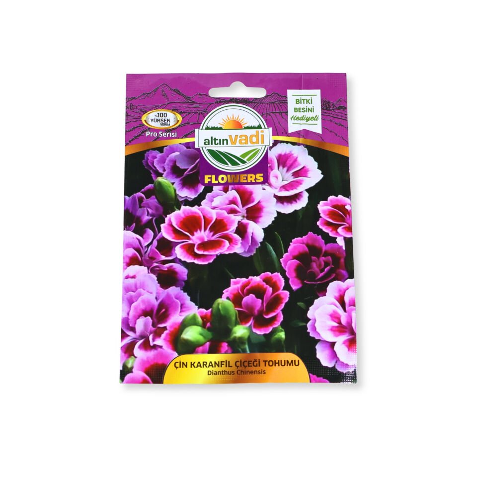 Çin karanfil çiçeği tohumu