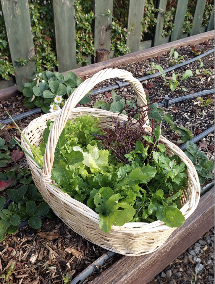 Oval saplı hasır sepet