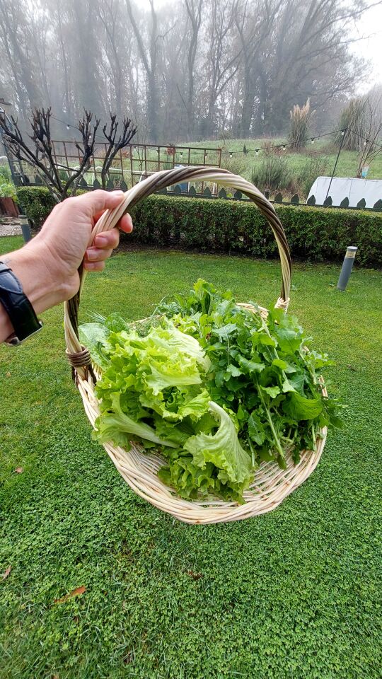 Kayık saplı hasır sepet