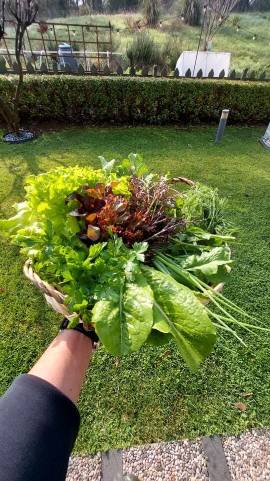 Tutamaçlı hasır saplı tepsi