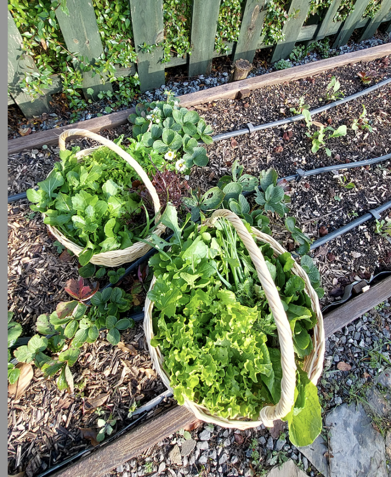 Yuvarlak saplı küçük hasır sepet