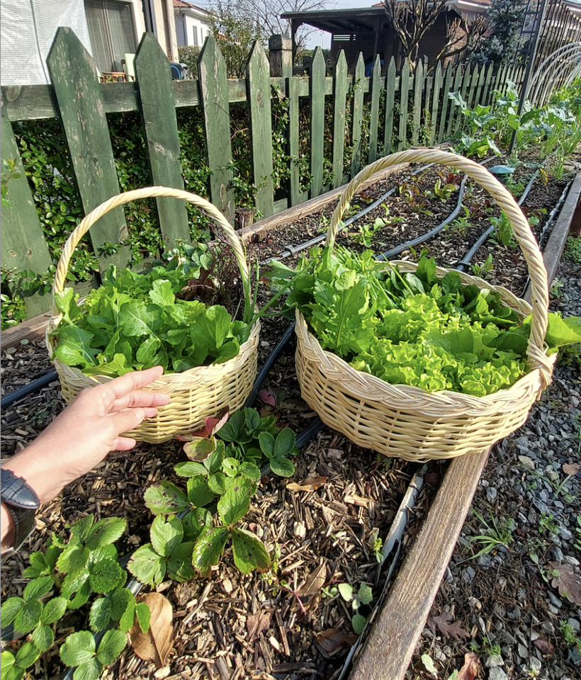 Yuvarlak saplı küçük hasır sepet