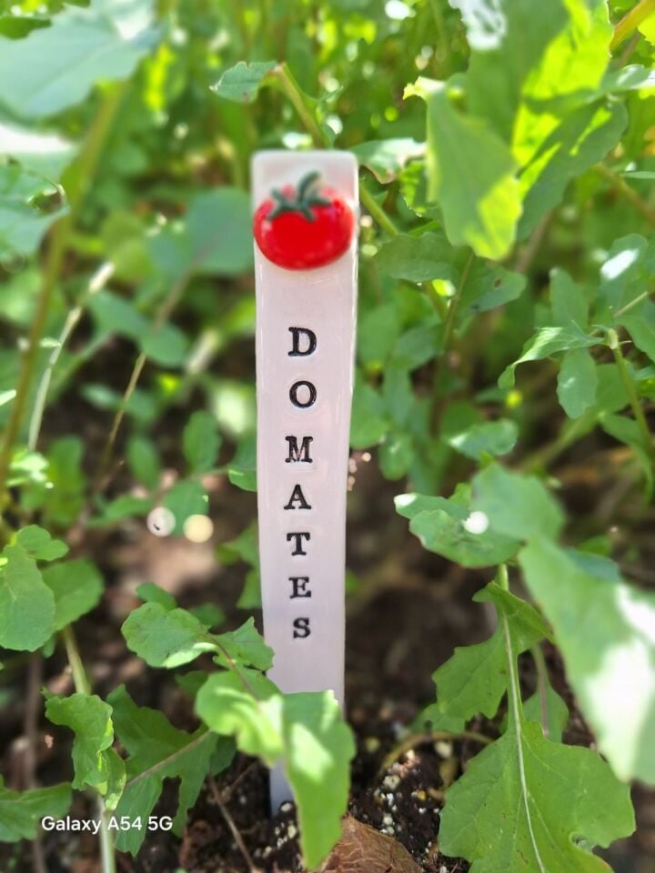 Domates şeklinde seramik bitki etiketi