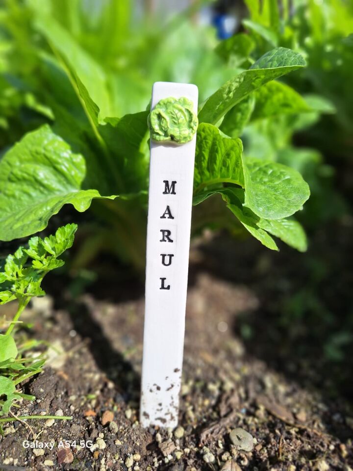 Marul desenli seramik bitki etiketi