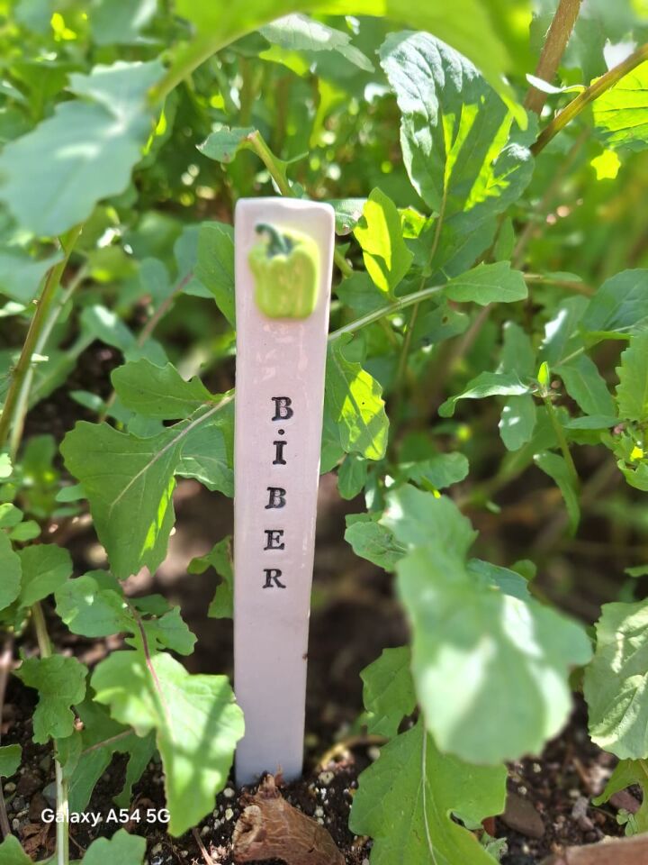 Dolma biber desenlli seramik bitki etiketi