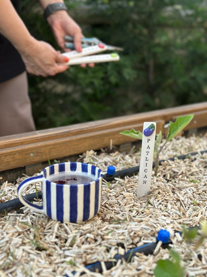 Patlıcan desenli seramik bitki etiketi