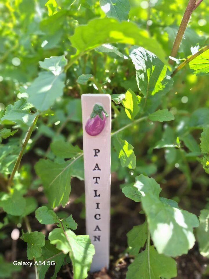 Patlıcan desenli seramik bitki etiketi