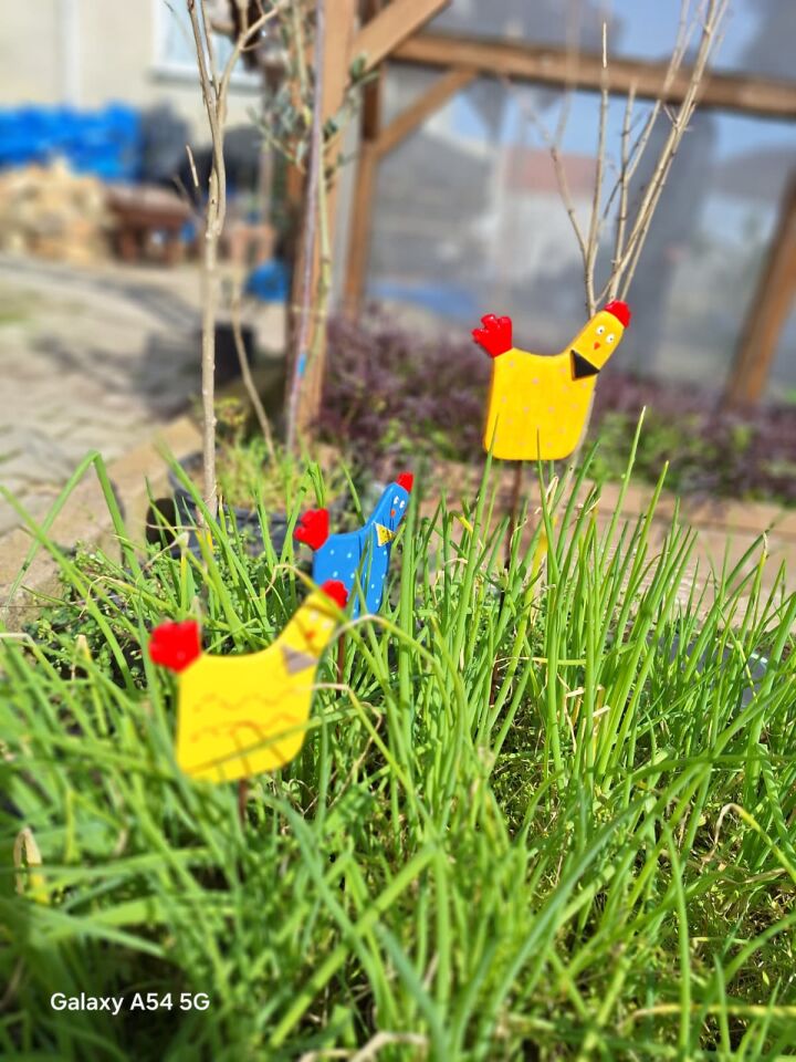 Seramik saksı süsü sarı tavuk