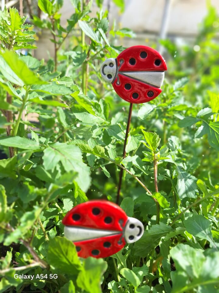 Seramik saksı süsü uğur böceği sağa bakan