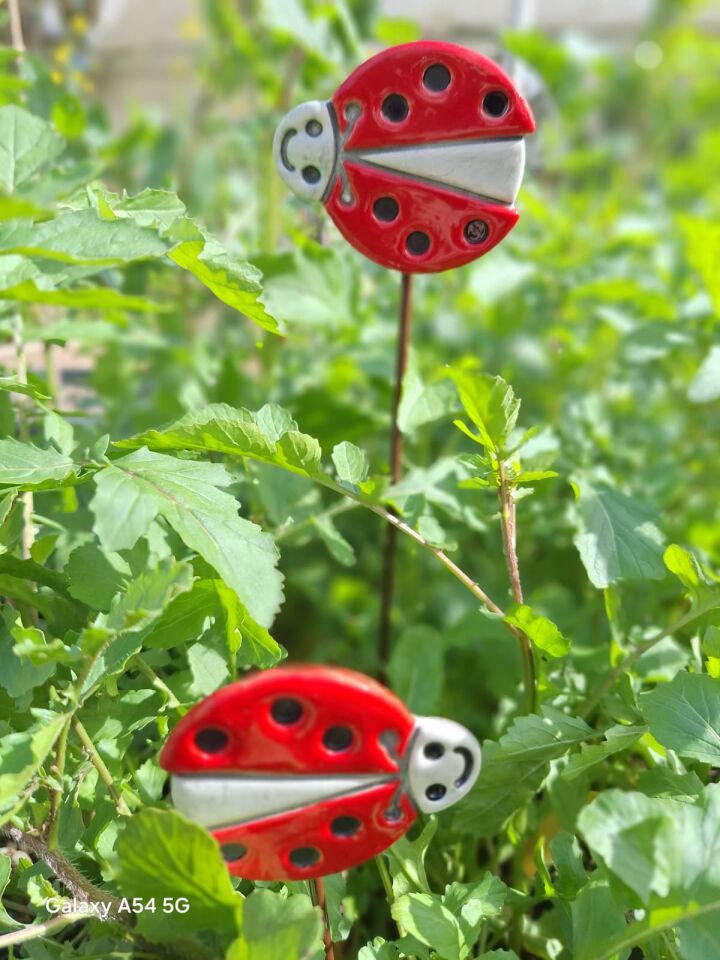 Seramik saksı süsü uğur böceği sola bakan