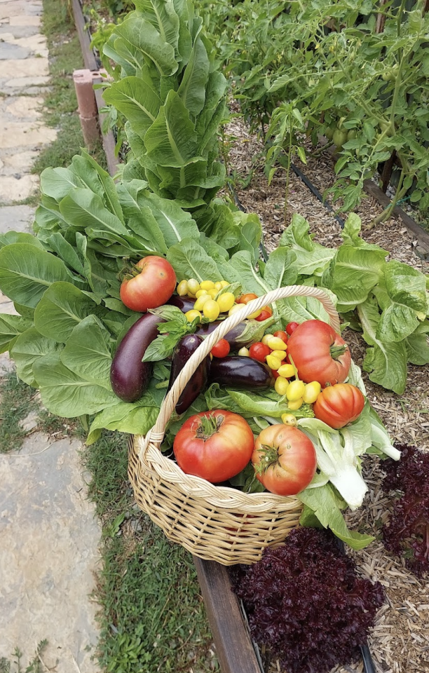 Kenevir talaşı 16 lt