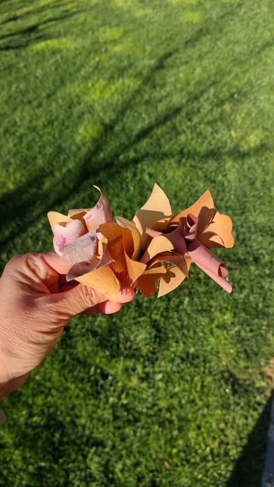 Bronz tokalı ipek çiçekli tarak saç tokası