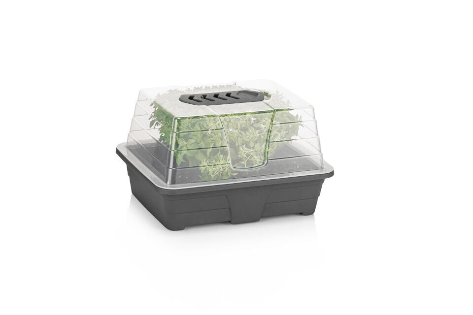 Fide Yetiştirme Fanusu Küçük Boy 1 No Antrasit