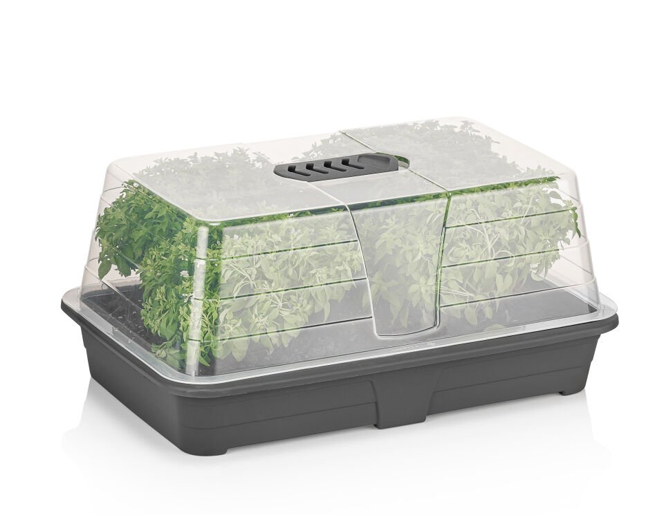 Fide Yetiştirme Fanusu Büyük Boy 2 No Antrasit